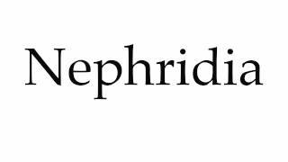 How to Pronounce Nephridia [upl. by Sedrul620]