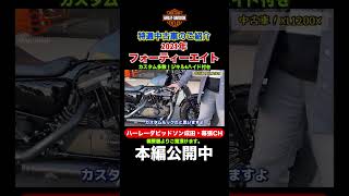 ※成約済み【ハーレーダビッドソン幕張 特選中古車両】2021年フォーティーエイト！極上カスタム多数！ジキルampハイドも付き！ [upl. by Gerlac61]