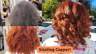 Salonwork From Natural Black to Sizzling CopperWith NO Bleach  Beauty Desis Way [upl. by Ardnwahsal]