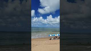 A maravilhosa praia de Ipioca em Alagoas shorts [upl. by Hirsch777]