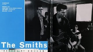 The Smiths  What Difference Does It Make acoustic guitar cover [upl. by Enaek]