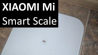 Настройка и обзор весов Xiaomi Mi Smart Scale [upl. by Anirav571]