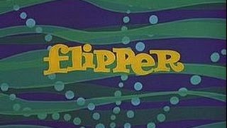 Flipper Intro [upl. by Retsae6]