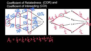 Coefficient of Relatedness and Coefficient of Inbreeding Explained [upl. by Abagael]