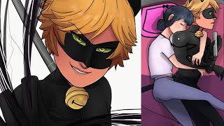 quotUnsee Marichat Scenequot Miraculous Ladybug Comic [upl. by Tillion]