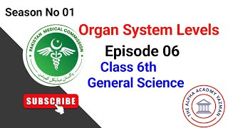 Organ System Level Class 6 Science Sindh Board  Season No 01  Episode 6  Live Class [upl. by Hadleigh]