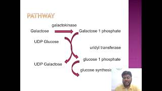 Galactose metabolism and galactosemia [upl. by Riannon]