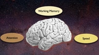 Exploring the Crossroads of Attention and Memory in the Aging Brain Views from the Inside [upl. by Ulrica]