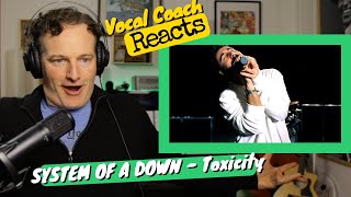 SYSTEM OF A DOWN quotToxicityquot  Vocal Coach REACTS [upl. by Nnail]