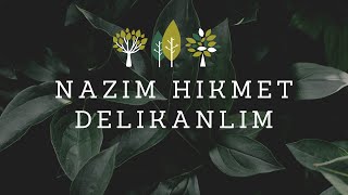 Delikanlım  Nazım Hikmet [upl. by Vaenfila393]