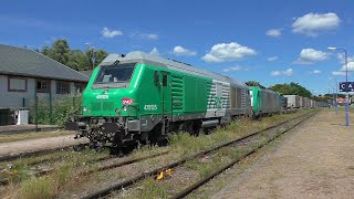 RheintalUmleiter 001 mit DIESELPOWER 2024 in Lauterbourg [upl. by Sonahpets]