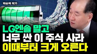 quot싸도 너무 싸다quot LG엔솔 말고 이 주식 사라 이때부터 크게 오른다｜박순혁 작가 4부 [upl. by Buffy]