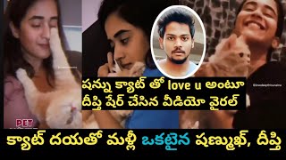 షన్ను క్యాట్ దయ తో ఒక్కటైన షణ్ముఖ్ దీప్తిShannu Deepthi meet again for Shannu CatSE [upl. by Langill]