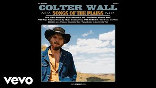 Colter Wall  Wild Dogs Audio [upl. by Airetak]