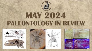 May 2024 Paleontology in Review [upl. by Alleynad275]