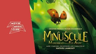 Mathieu Lamboley  Chenilles urticantes  From the movie quotMinuscule Mandibles From Far Awayquot [upl. by Eilema102]