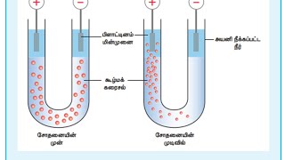 Cataphoresis  மின்முனைக்கவர்ச்சி [upl. by Ennovoj385]