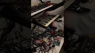 Live with Quasimidi Sirius Elektron Digitakt Behringer TD3 Jomox Mbase amp more 11 techno [upl. by Phil]