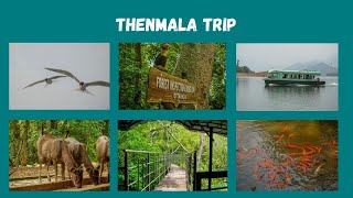 Thenmala Ecotourism  Deer Park  Kollam Tourist Places  Kerala Tourism [upl. by Ennairak]