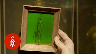 The LaserBased Science Behind 3D Holograms [upl. by Suivatna]