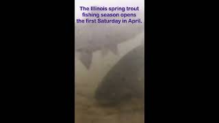 Illinois Trout Stocking at Lake Atwood [upl. by Sil]