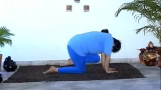 yoga telugu [upl. by Carmencita]