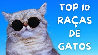 Top 10 Raças de Gatos Qual é a Sua Favorita [upl. by Josephson]