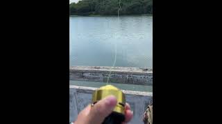 New Slingshot Fishing Reel Set is  Free for shipping on sale store httpsfishingspidermanscom [upl. by Atirec]