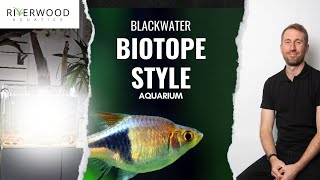 Scaping a Blackwater Biotope Aquarium [upl. by Ellohcin128]