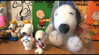 Peanuts Charlie Brown amp Snoopy Collection [upl. by Adanar443]