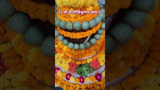 Shambhu Shankar Namah Shivay 🚩🙏🔱🕉🔱🙏🚩 शंभु शंकर नमःशिवाय shortvideo [upl. by Zetnas]