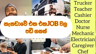 Job salaries in Canada 2024  කැනඩාවෙ එක එක ජොබ්වල පඩි නඩි  2024 [upl. by Ibrab]