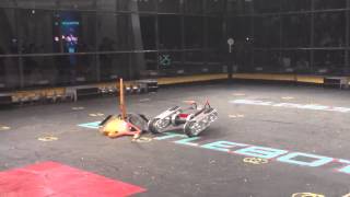 Battlebots Grudge Match Complete Control VS Razorback 2015 Un aired Fight [upl. by Gable686]