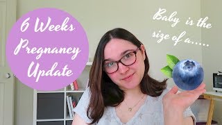 Pregnancy At 6 Weeks  Pregnancy Update 3 Baby 2 [upl. by Brazee]