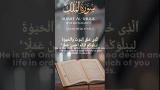 SURAH MULK BY MISHARY RASHEED ALFASY qurantransalationsurahmulk quranqurantransalation [upl. by Arabella728]