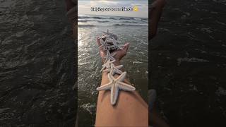 Just in time Saving starfish from drying out 🥺 [upl. by Akienaj]