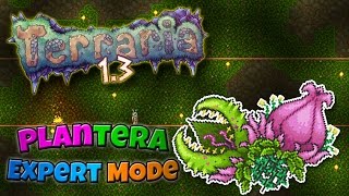 Terraria 13  Expert Mode Funny Moments and Fails 19 [upl. by Ahsial]