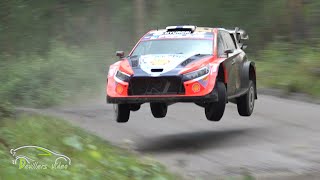 WRC Rally Finland 2024  JUMP amp FLAT OUT PARADISE [upl. by Manard]