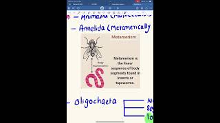 Metamerism of earthworm ceenepal biology mbbsentrance [upl. by Ecinaej]