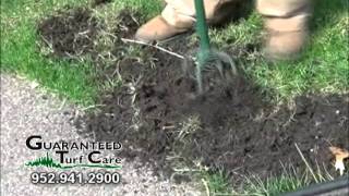 Lawn Care Services Spot Seeding [upl. by Acenahs]