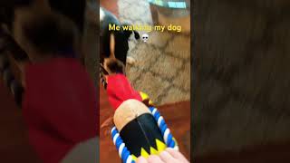 The dogs name Max dog funny [upl. by Heti701]