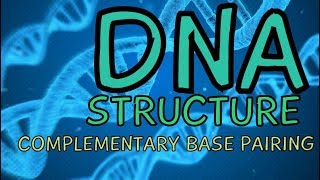 What is DNA Deoxyribonucleic Acid  DNA Structure  Complementary Base Pairing [upl. by Terzas]