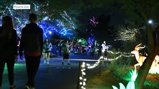 ZooLights Here’s what’s new at this year’s Phoenix Zoo holiday tradition [upl. by Gerius147]