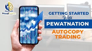 PEWATNATION AUTO COPY SYSTEM INFO [upl. by Gotthelf]