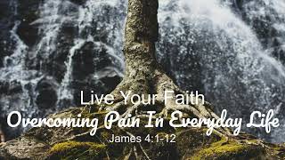 Live Your Faith  Overcoming Pain in Everyday Life  2024 Nov 03 [upl. by Hauhsoj]