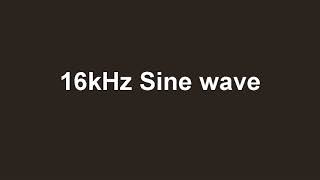 16000Hz sine wave [upl. by Alhahs690]