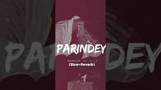 Parindey Song Slowed Reverb 🥹❤️‍🩹 love music parindeysong [upl. by Dawna]