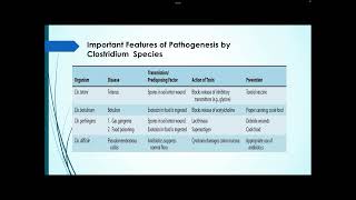 Ex of nosocomial infections  part 1 [upl. by Irtimd]