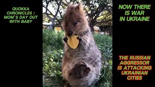 Quokka Chronicles Moms Day Out with Baby [upl. by Gualtiero]