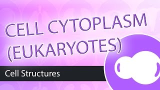 Eukaryotic Cells The Cytoplasm [upl. by Dela125]